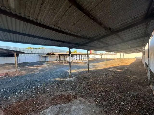 Terreno comercial para Locação em Uberlândia/MG Brasil