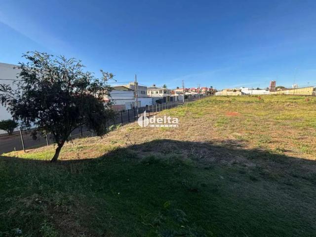 Terreno comercial para Locação em Uberlândia/MG Granada
