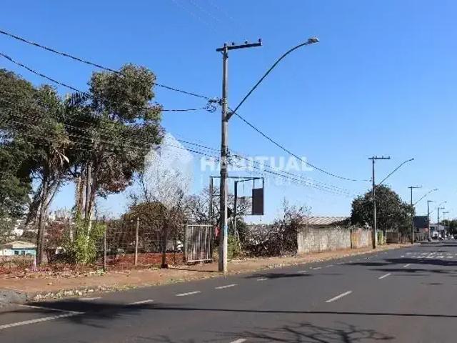Terreno comercial para Locação em Uberlândia/MG Daniel Fonseca