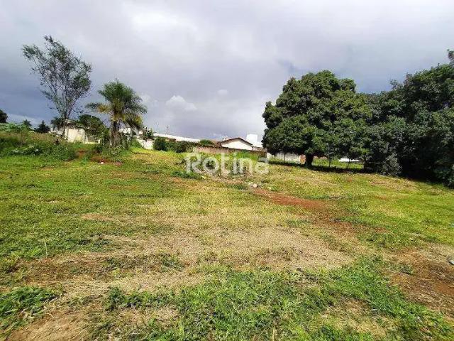 Terreno comercial para Locação em Uberlândia/MG Daniel Fonseca