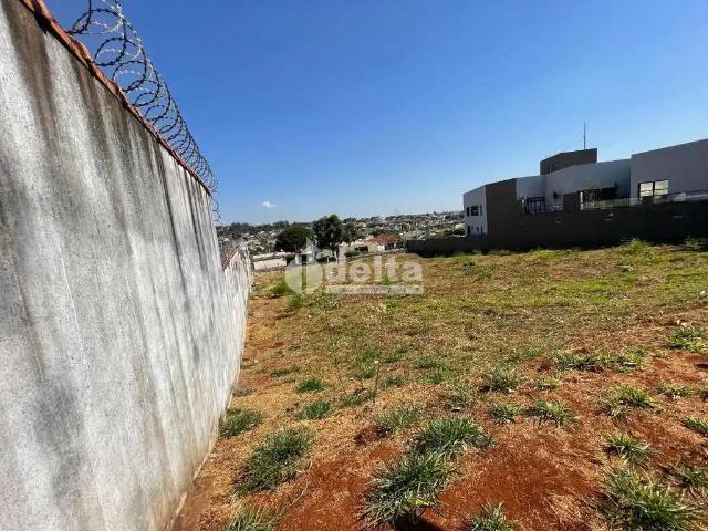 Terreno comercial para Locação em Uberlândia/MG Daniel Fonseca