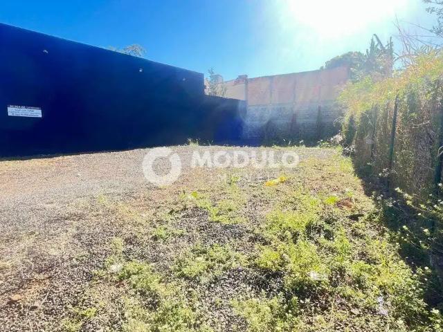 Terreno comercial para Locação em Uberlândia/MG Daniel Fonseca