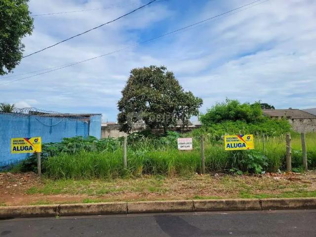 Terreno comercial para Locação em Uberlândia/MG Jardim Botânico