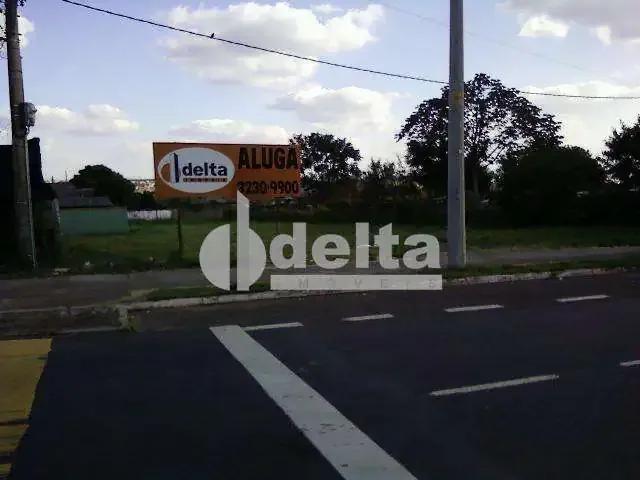 Terreno comercial para Locação em Uberlândia/MG Jardim Finotti