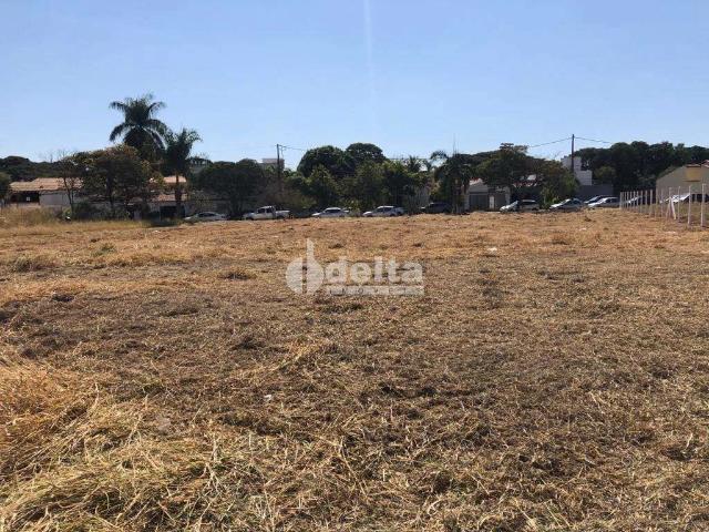 Terreno comercial para Locação em Uberlândia/MG Jardim Karaíba