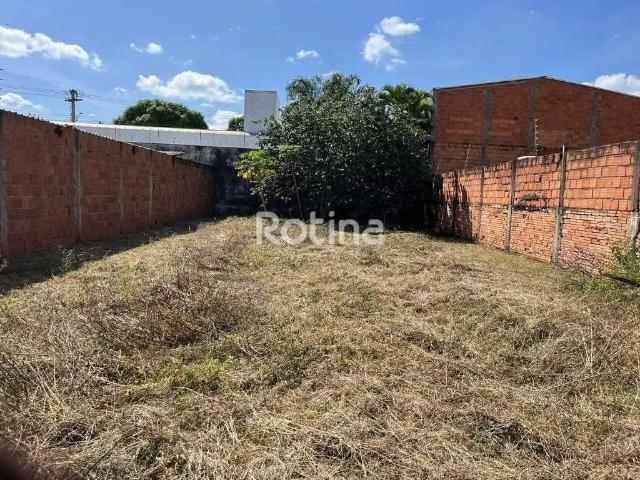 Terreno comercial para Locação em Uberlândia/MG Jardim Patrícia