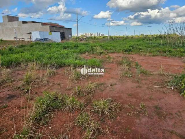 Terreno comercial para Locação em Uberlândia/MG Jardim Sul