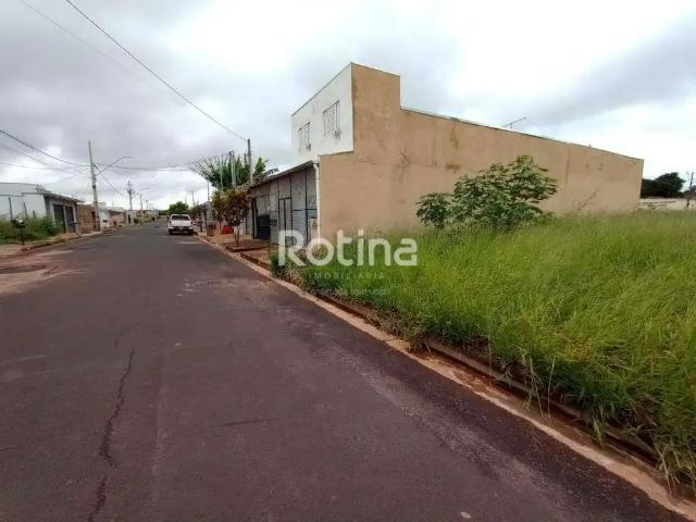 Terreno comercial para Locação em Uberlândia/MG Laranjeiras