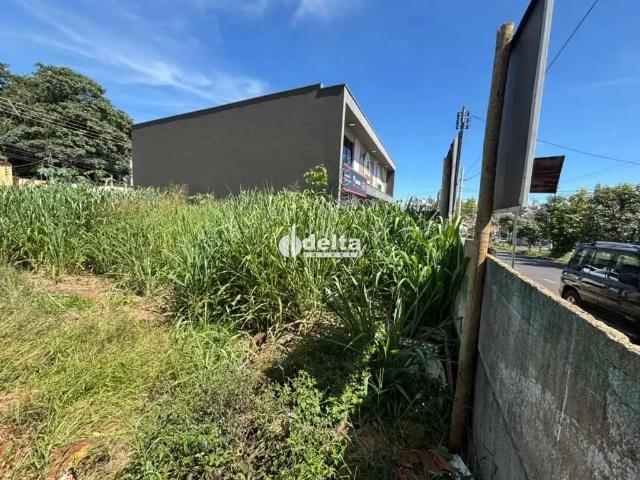 Terreno comercial para Locação em Uberlândia/MG Morada da Colina