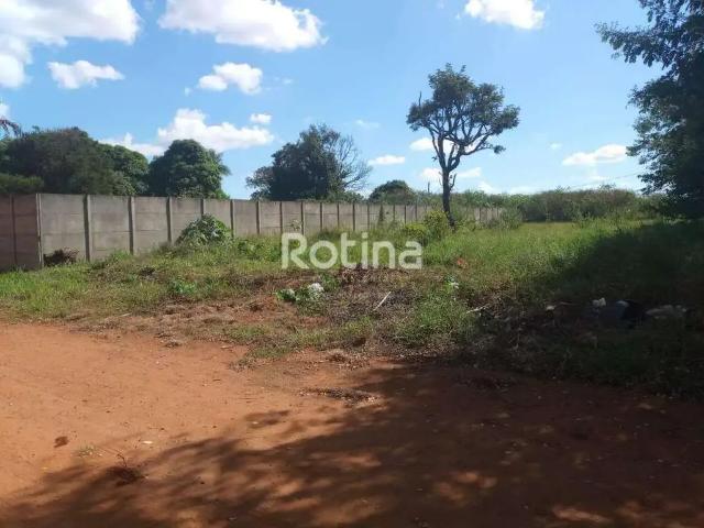 Terreno comercial para Locação em Uberlândia/MG Morada dos Pássaros