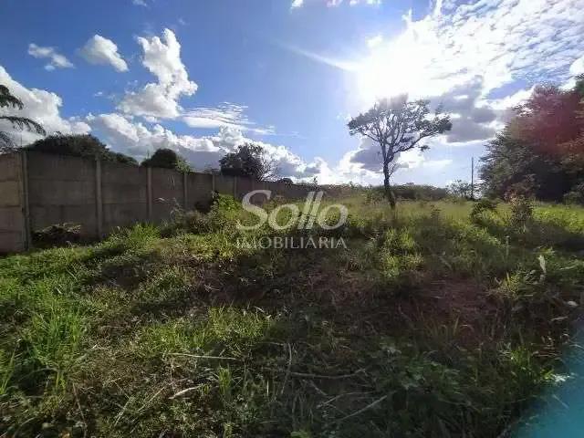 Terreno comercial para Locação em Uberlândia/MG Morada dos Pássaros