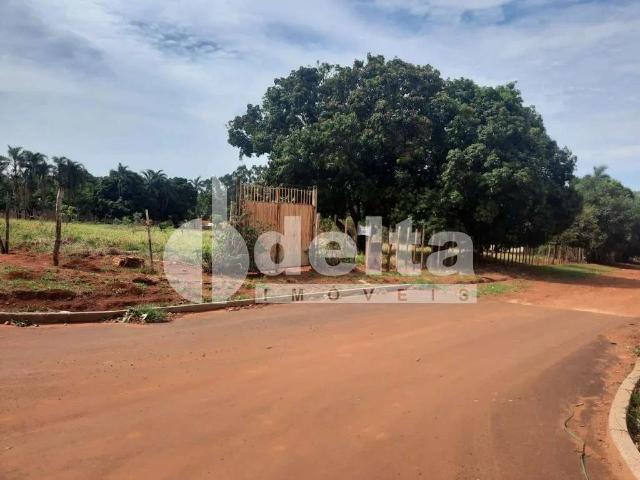 Terreno comercial para Locação em Uberlândia/MG Morada dos Pássaros
