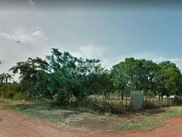 Terreno comercial para Locação em Uberlândia/MG Morada dos Pássaros