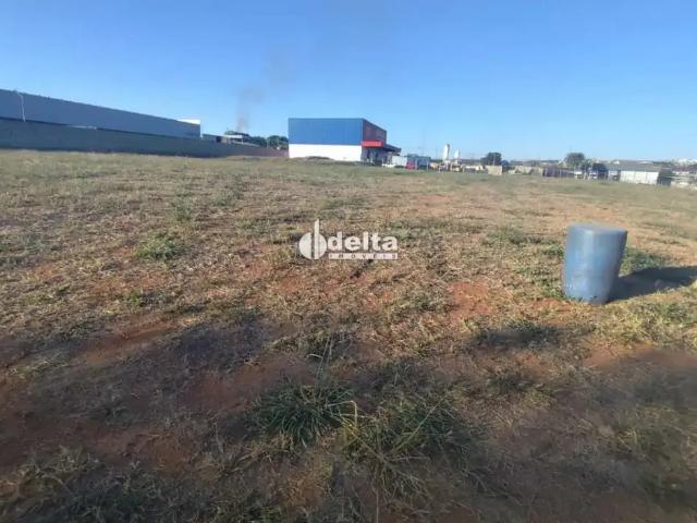Terreno comercial para Locação em Uberlândia/MG Marta Helena