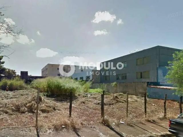 Terreno comercial para Locação em Uberlândia/MG Marta Helena
