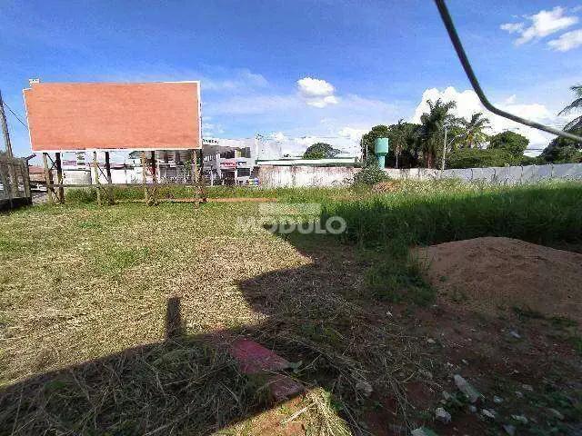 Terreno comercial para Locação em Uberlândia/MG Martins