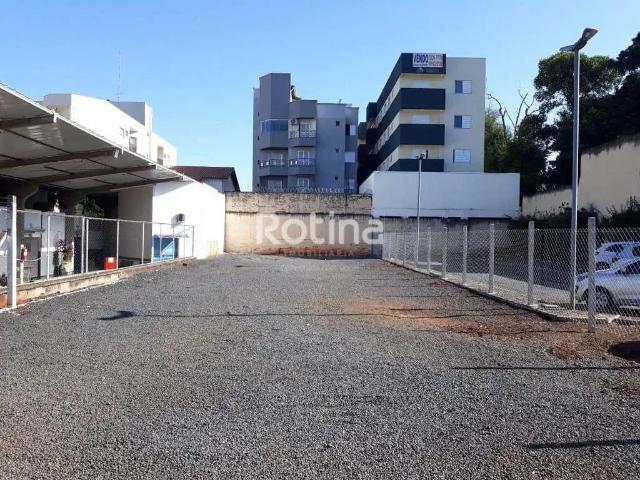 Terreno comercial para Locação em Uberlândia/MG Martins