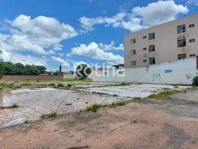 Terreno comercial para Locação em Uberlândia/MG Martins