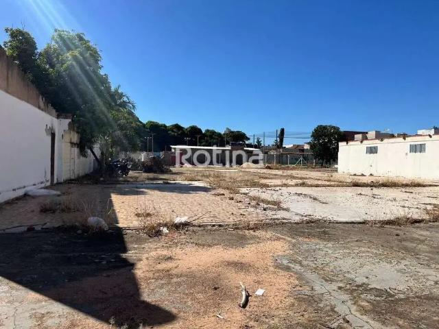 Terreno comercial para Locação em Uberlândia/MG Martins