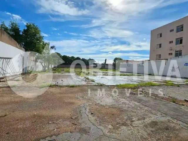 Terreno comercial para Locação em Uberlândia/MG Martins