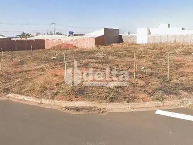 Terreno comercial para Locação em Uberlândia/MG Minas Gerais