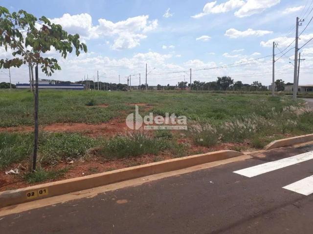 Terreno comercial para Locação em Uberlândia/MG Minas Gerais