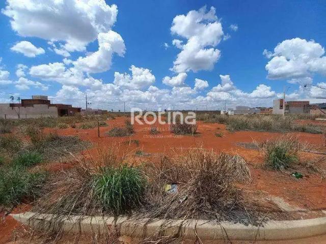 Terreno comercial para Locação em Uberlândia/MG Novo Mundo