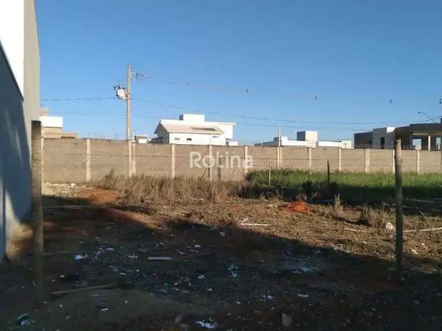 Terreno comercial para Locação em Uberlândia/MG Novo Mundo