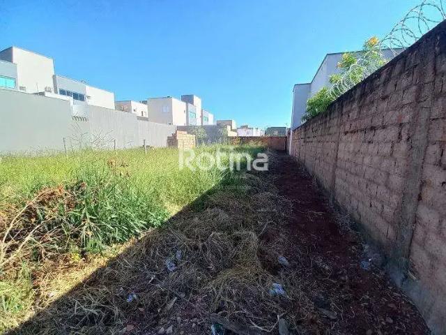 Terreno comercial para Locação em Uberlândia/MG Novo Mundo