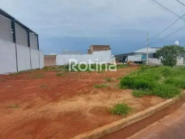 Terreno comercial para Locação em Uberlândia/MG Novo Mundo