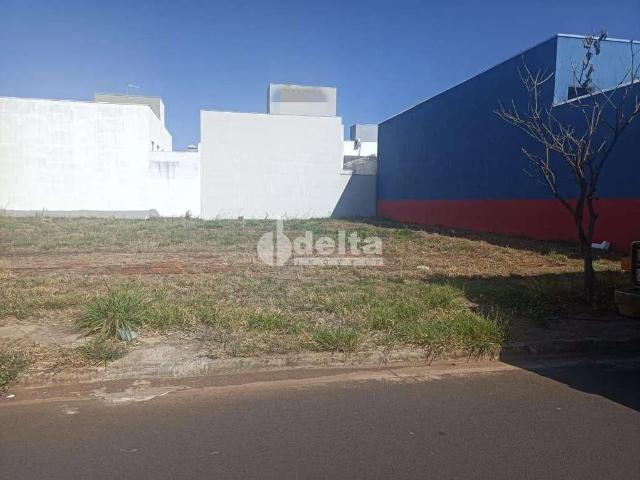 Terreno comercial para Locação em Uberlândia/MG Novo Mundo