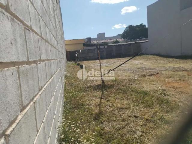 Terreno comercial para Locação em Uberlândia/MG Nossa Senhora Aparecida