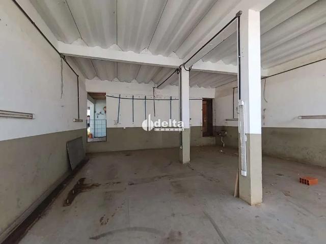 Terreno comercial para Locação em Uberlândia/MG Nossa Senhora Aparecida