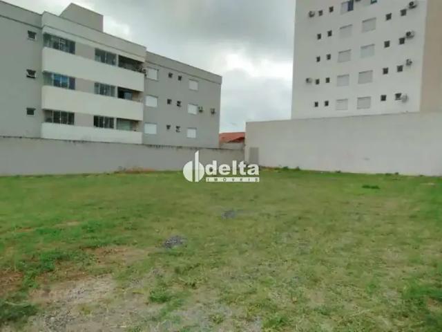 Terreno comercial para Locação em Uberlândia/MG Santa Mônica