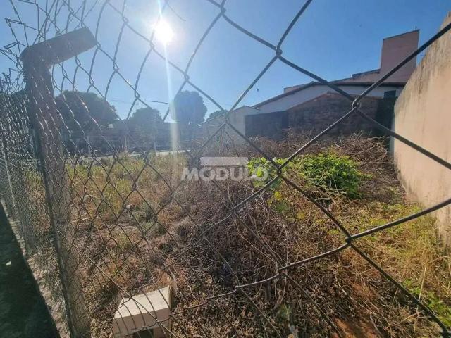 Terreno comercial para Locação em Uberlândia/MG Santa Mônica