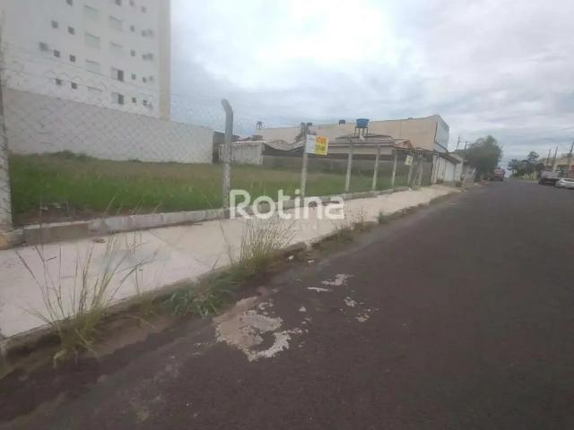 Terreno comercial para Locação em Uberlândia/MG Santa Mônica