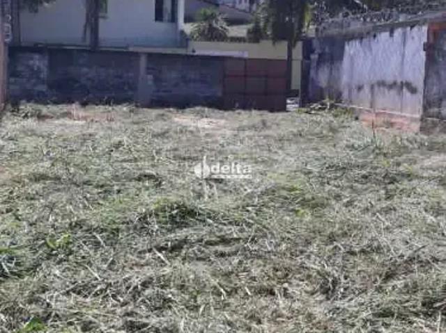 Terreno comercial para Locação em Uberlândia/MG Saraiva