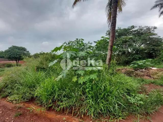 Terreno comercial para Locação em Uberlândia/MG Shopping Park