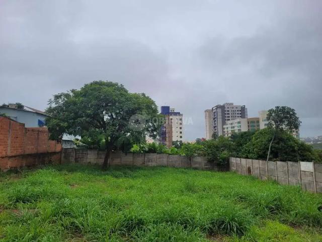 Terreno comercial para Locação em Uberlândia/MG Patrimônio