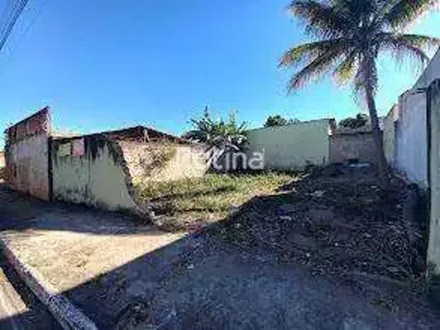 Terreno comercial para Locação em Uberlândia/MG Pampulha