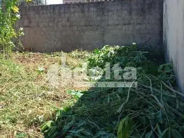 Terreno comercial para Locação em Uberlândia/MG Presidente Roosevelt
