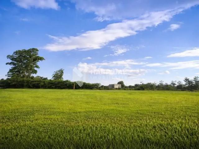 Terreno comercial para Locação em Uberlândia/MG Tocantins