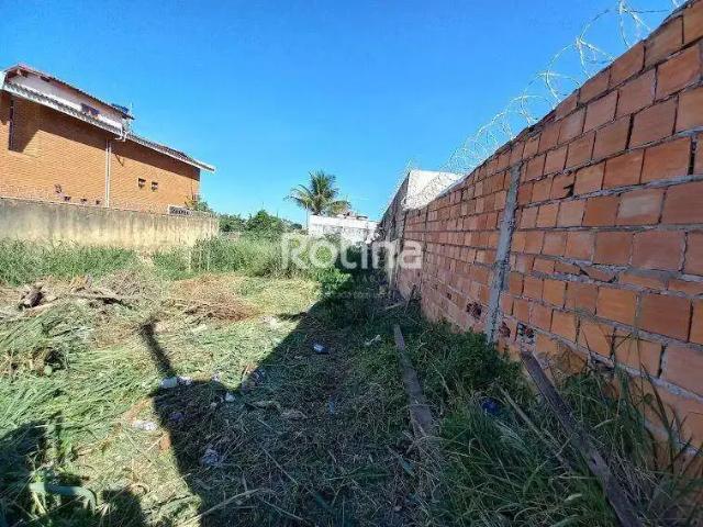 Terreno comercial para Locação em Uberlândia/MG Tabajaras