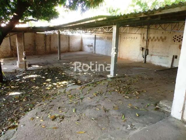 Terreno comercial para Locação em Uberlândia/MG Tubalina