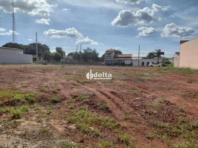Terreno comercial para Locação em Uberlândia/MG Umuarama