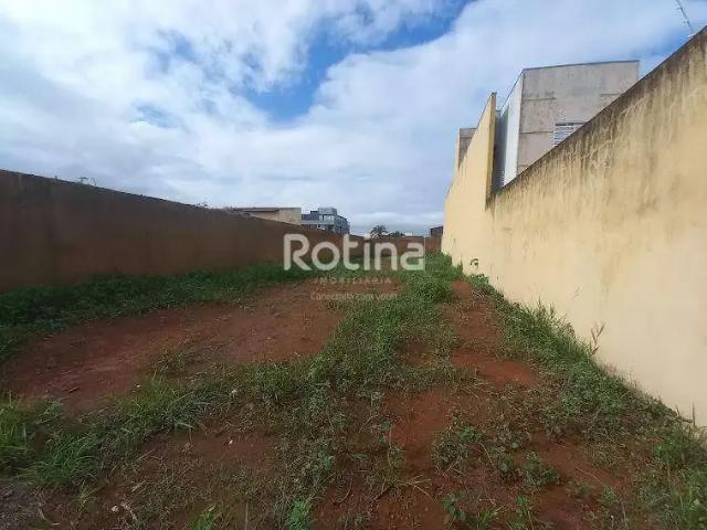 Terreno comercial para Locação em Uberlândia/MG Umuarama