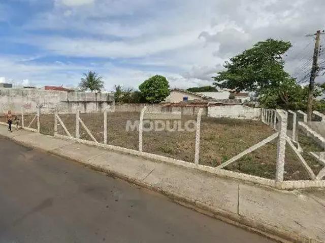 Terreno comercial para Locação em Uberlândia/MG Umuarama