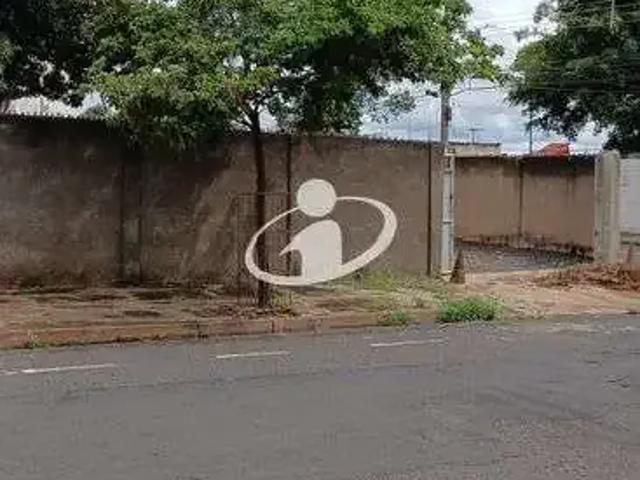 Terreno comercial para Locação em Uberlândia/MG Umuarama