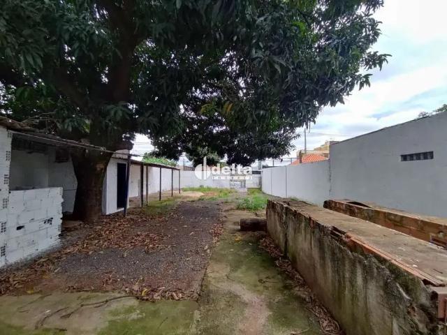 Terreno comercial para Locação em Uberlândia/MG Vigilato Pereira