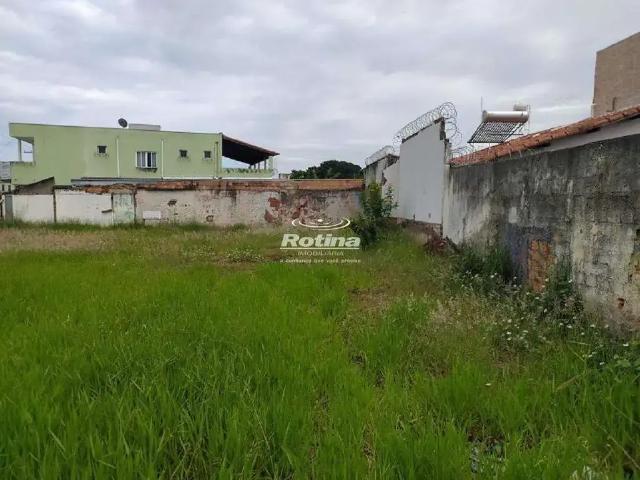 Terreno comercial para Locação em Uberlândia/MG Vigilato Pereira